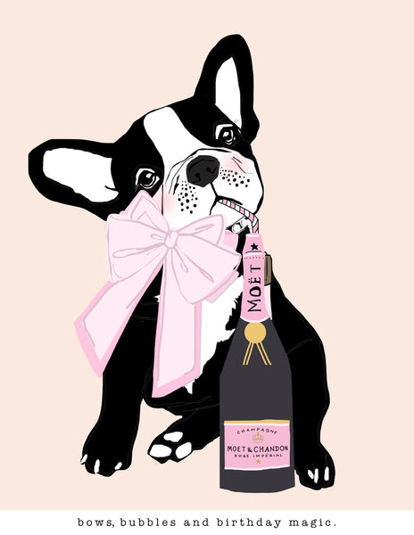 Bows, Bubbles and Birthday Magic.